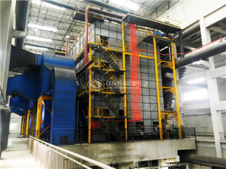 Biomass fired steam boiler